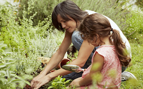 GettyImages_477310461 (1)